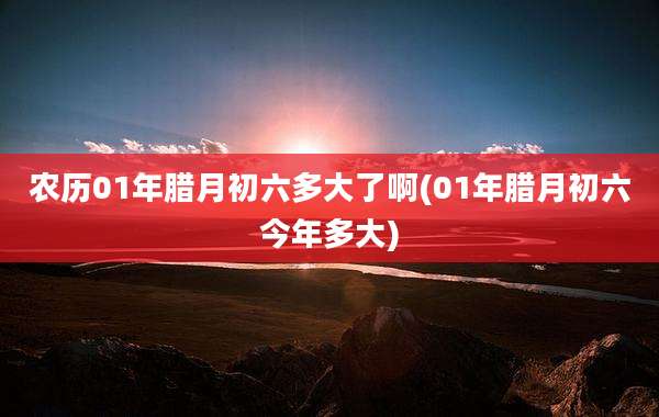 农历01年腊月初六多大了啊(01年腊月初六今年多大)