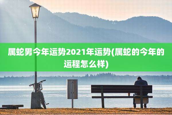 属蛇男今年运势2021年运势(属蛇的今年的运程怎么样)