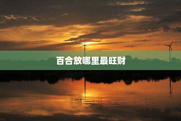 百合放哪里最旺财