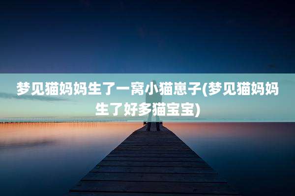 梦见猫妈妈生了一窝小猫崽子(梦见猫妈妈生了好多猫宝宝)
