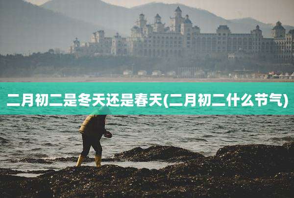 二月初二是冬天还是春天(二月初二什么节气)