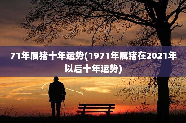 71年属猪十年运势(1971年属猪在2021年以后十年运势)