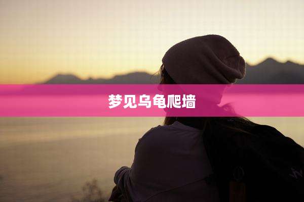 梦见乌龟爬墙