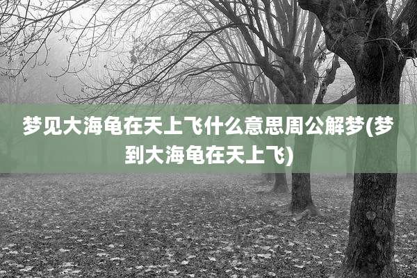 梦见大海龟在天上飞什么意思周公解梦(梦到大海龟在天上飞)