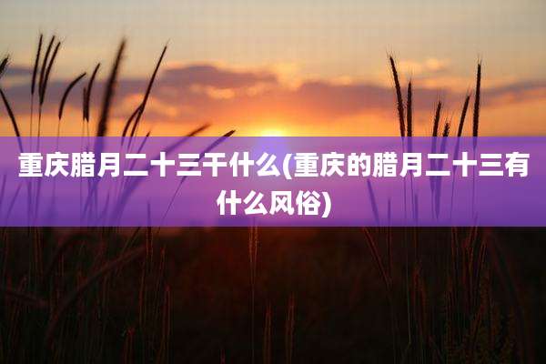重庆腊月二十三干什么(重庆的腊月二十三有什么风俗)