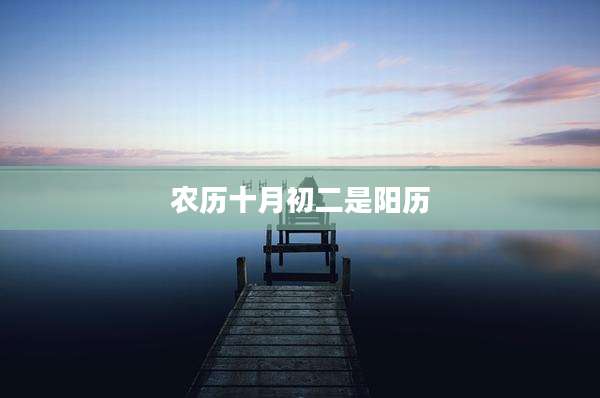 农历十月初二是阳历