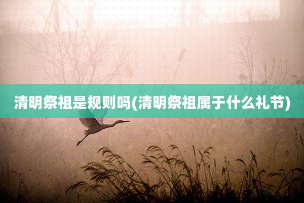 清明祭祖是规则吗(清明祭祖属于什么礼节)