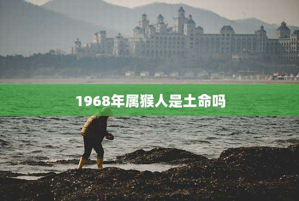 1968年属猴人是土命吗