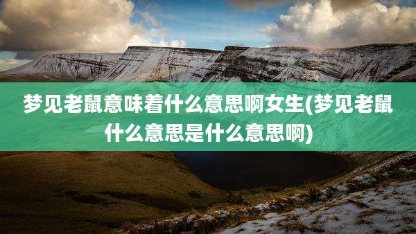 梦见老鼠意味着什么意思啊女生(梦见老鼠什么意思是什么意思啊)