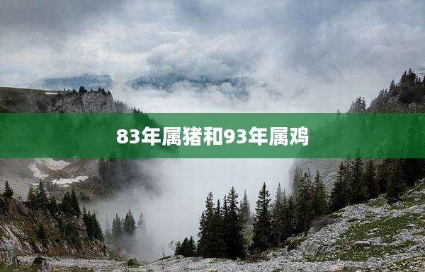83年属猪和93年属鸡