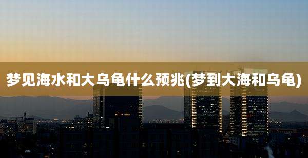 梦见海水和大乌龟什么预兆(梦到大海和乌龟)