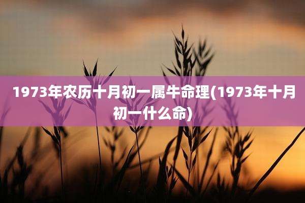 1973年农历十月初一属牛命理(1973年十月初一什么命)