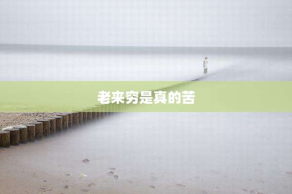 老来穷是真的苦