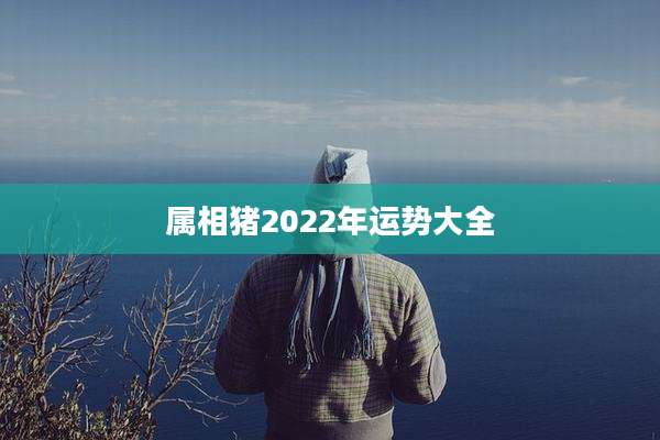 属相猪2022年运势大全