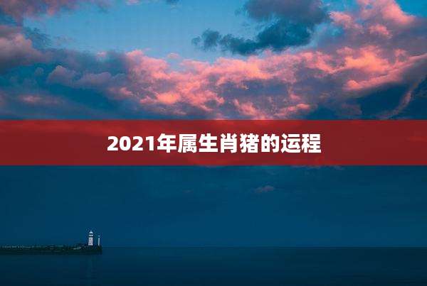 2021年属生肖猪的运程