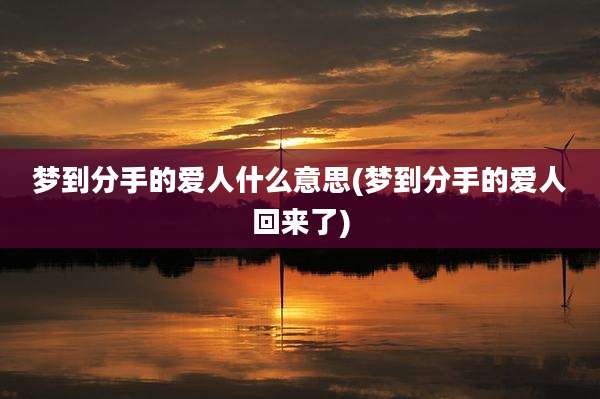 梦到分手的爱人什么意思(梦到分手的爱人回来了)