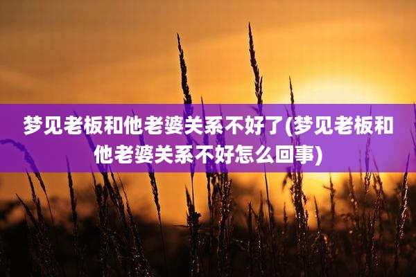 梦见老板和他老婆关系不好了(梦见老板和他老婆关系不好怎么回事)