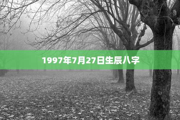 1997年7月27日生辰八字