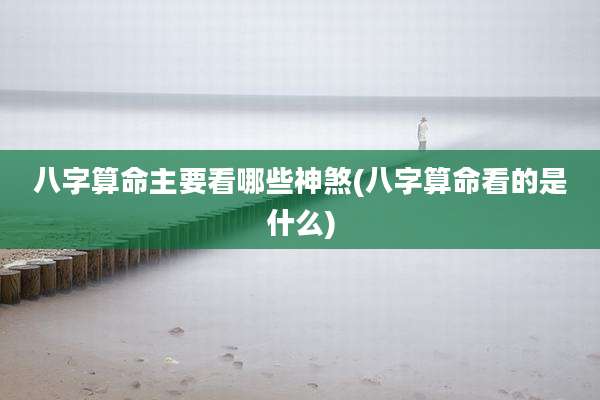 八字算命主要看哪些神煞(八字算命看的是什么)