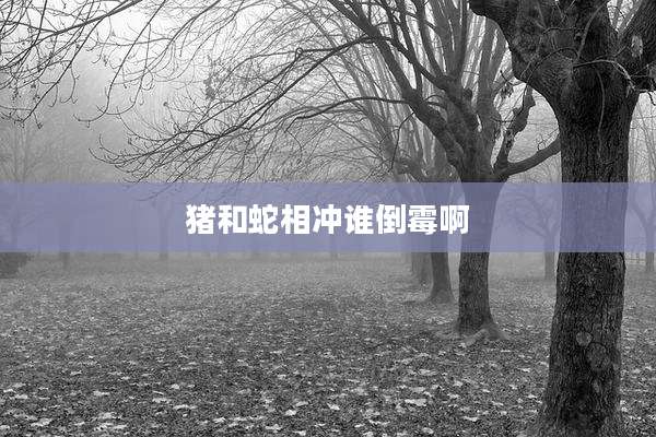 猪和蛇相冲谁倒霉啊