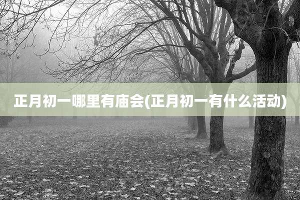 正月初一哪里有庙会(正月初一有什么活动)