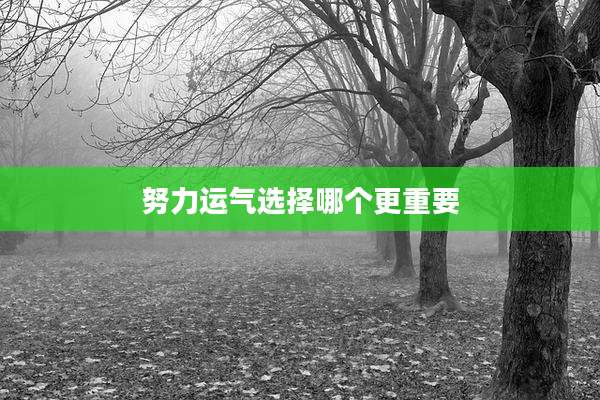 努力运气选择哪个更重要