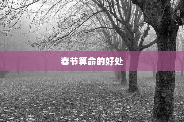 春节算命的好处