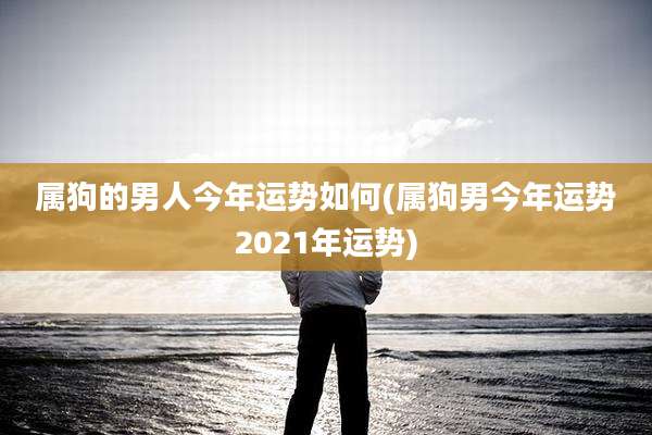 属狗的男人今年运势如何(属狗男今年运势2021年运势)