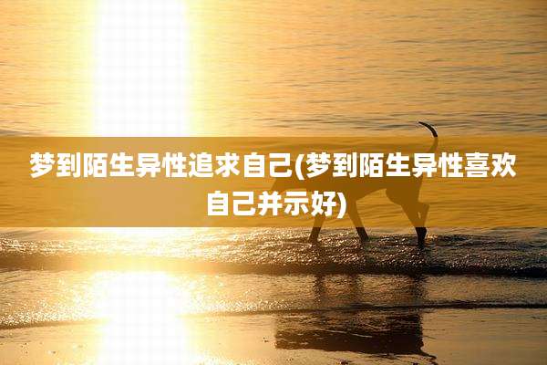 梦到陌生异性追求自己(梦到陌生异性喜欢自己并示好)