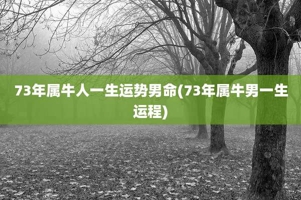 73年属牛人一生运势男命(73年属牛男一生运程)