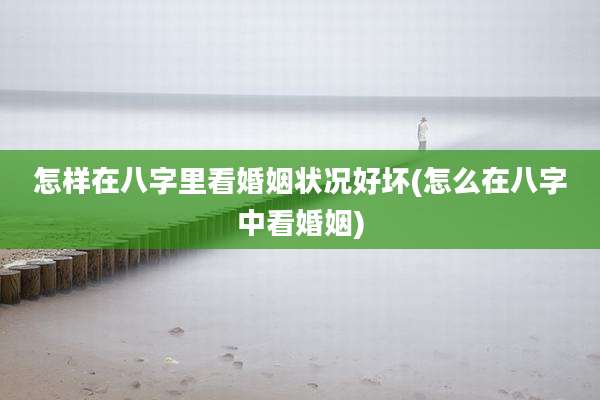 怎样在八字里看婚姻状况好坏(怎么在八字中看婚姻)