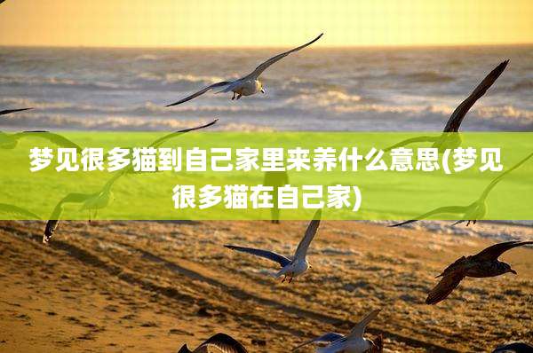 梦见很多猫到自己家里来养什么意思(梦见很多猫在自己家)