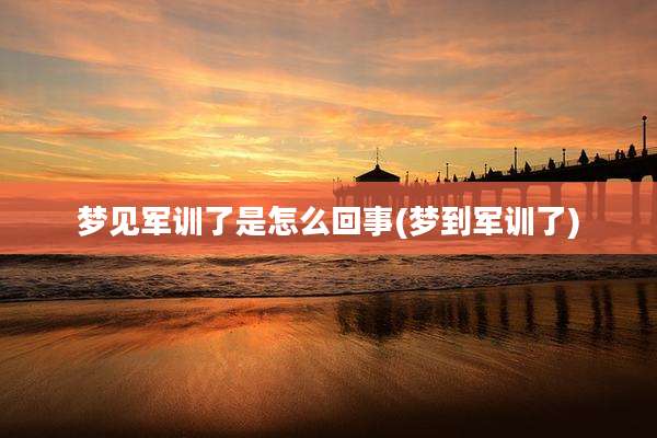 梦见军训了是怎么回事(梦到军训了)