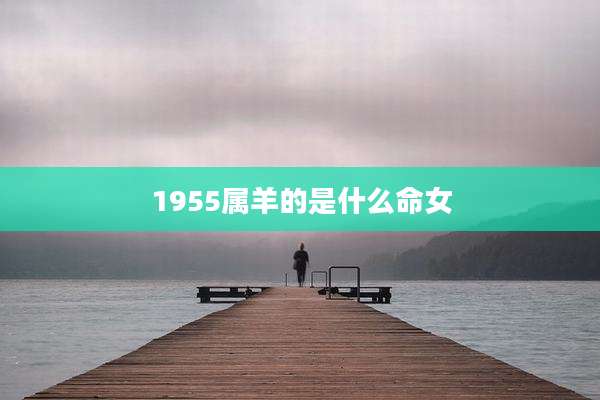 1955属羊的是什么命女
