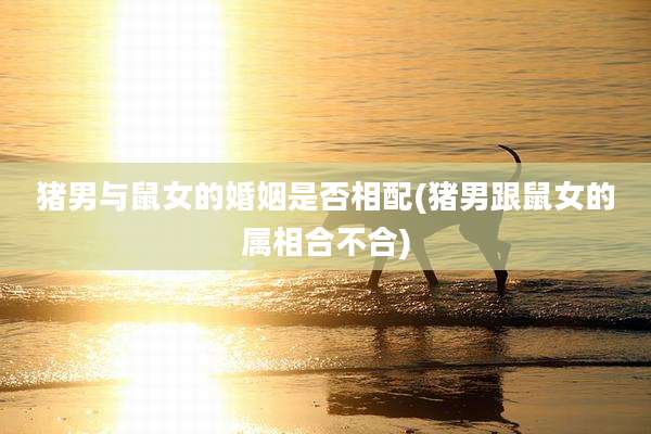 猪男与鼠女的婚姻是否相配(猪男跟鼠女的属相合不合)