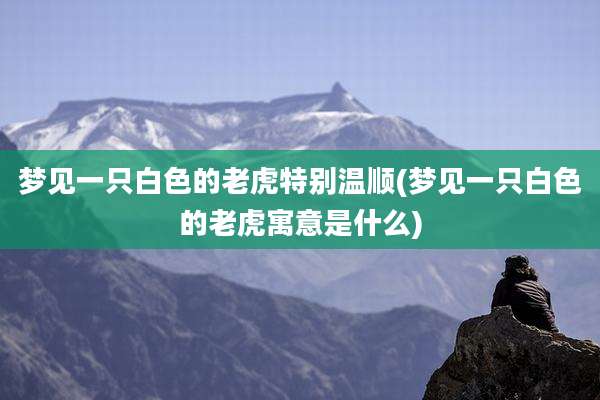 梦见一只白色的老虎特别温顺(梦见一只白色的老虎寓意是什么)