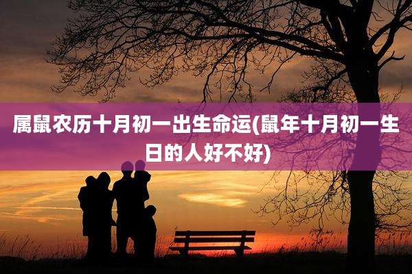 属鼠农历十月初一出生命运(鼠年十月初一生日的人好不好)