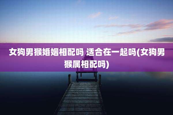 女狗男猴婚姻相配吗 适合在一起吗(女狗男猴属相配吗)