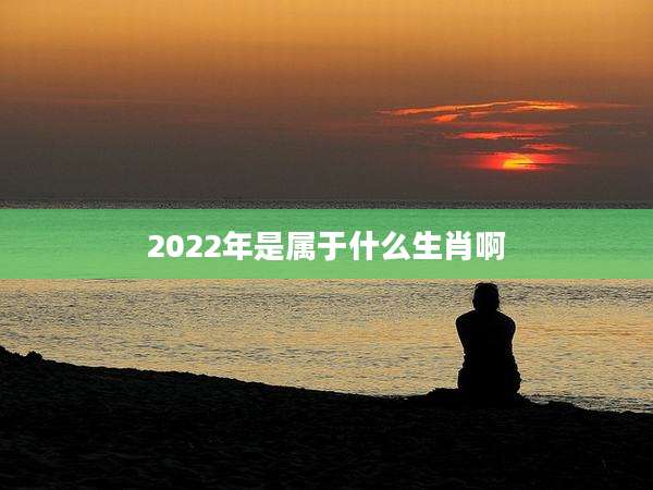2022年是属于什么生肖啊