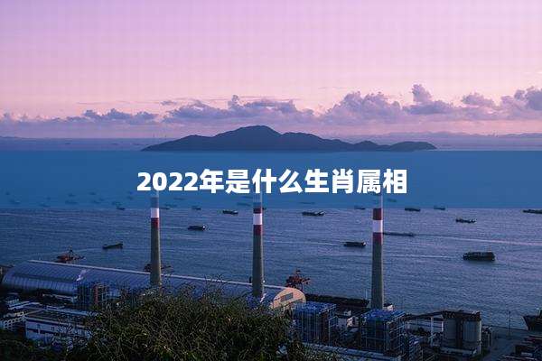 2022年是什么生肖属相