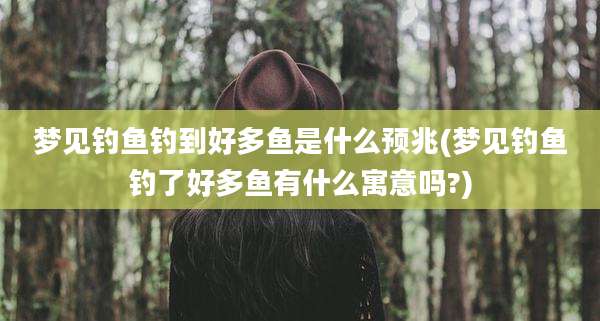 梦见钓鱼钓到好多鱼是什么预兆(梦见钓鱼钓了好多鱼有什么寓意吗?)