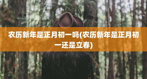 农历新年是正月初一吗(农历新年是正月初一还是立春)