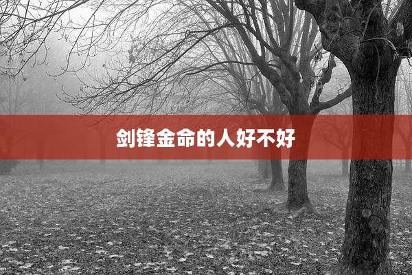 剑锋金命的人好不好