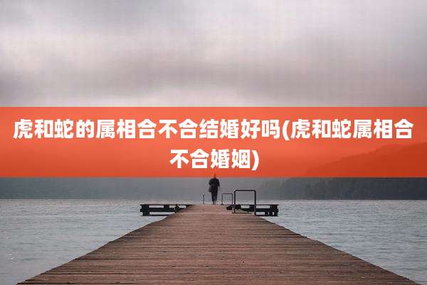 虎和蛇的属相合不合结婚好吗(虎和蛇属相合不合婚姻)