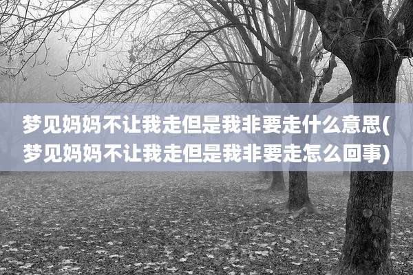 梦见妈妈不让我走但是我非要走什么意思(梦见妈妈不让我走但是我非要走怎么回事)