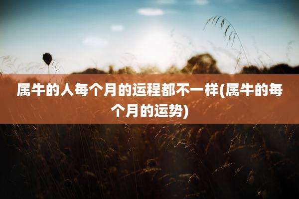 属牛的人每个月的运程都不一样(属牛的每个月的运势)