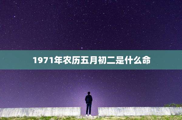 1971年农历五月初二是什么命