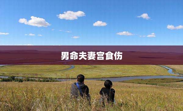 男命夫妻宫食伤