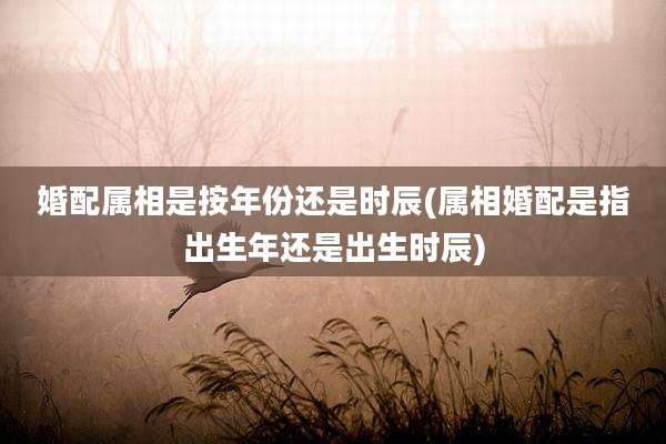 婚配属相是按年份还是时辰(属相婚配是指出生年还是出生时辰)