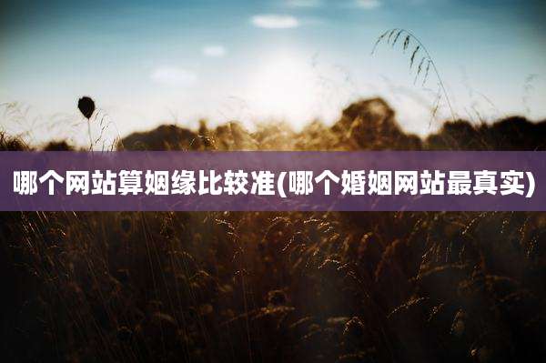 哪个网站算姻缘比较准(哪个婚姻网站最真实)